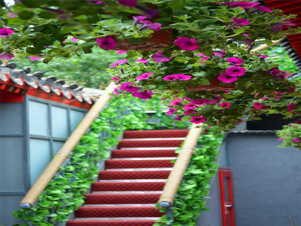 Beijing 161 Lama Temple Courtyard Hotel Zewnętrze zdjęcie